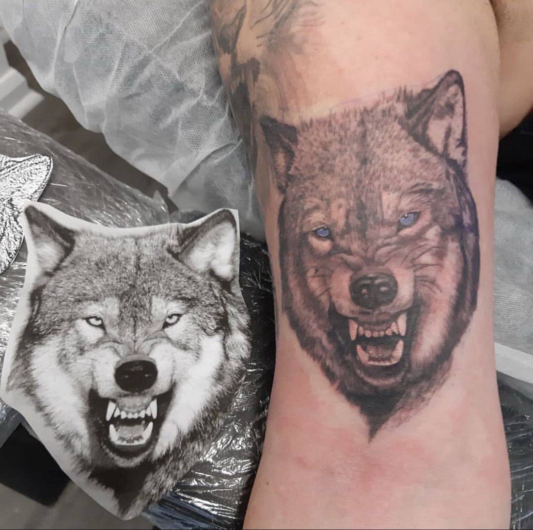 Tattoo: Black & grey — Wolf with blue eyes