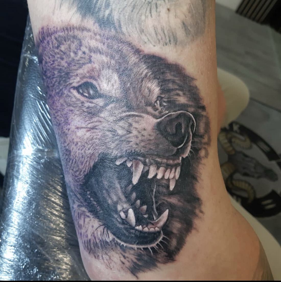 Tattoo: Black & grey — Snarling wolf