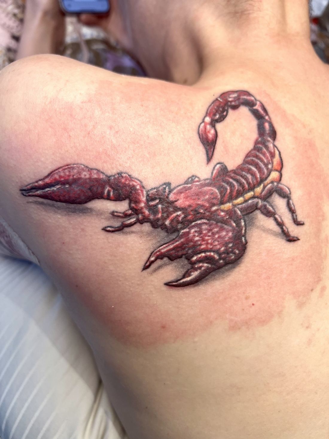 Tattoo: Color realism — Red scorpion