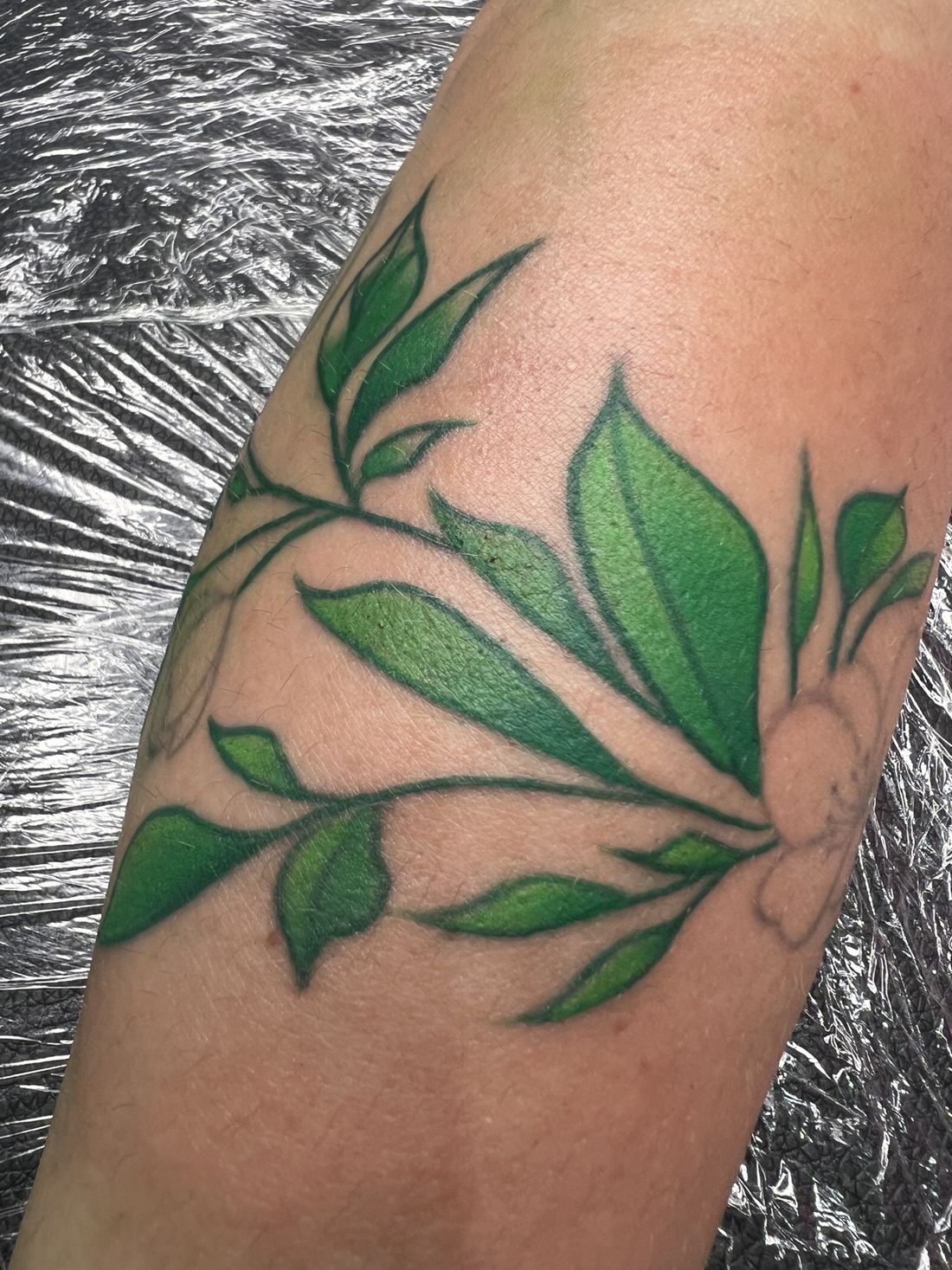 Tattoo: Color fine line — Green-leaf branch