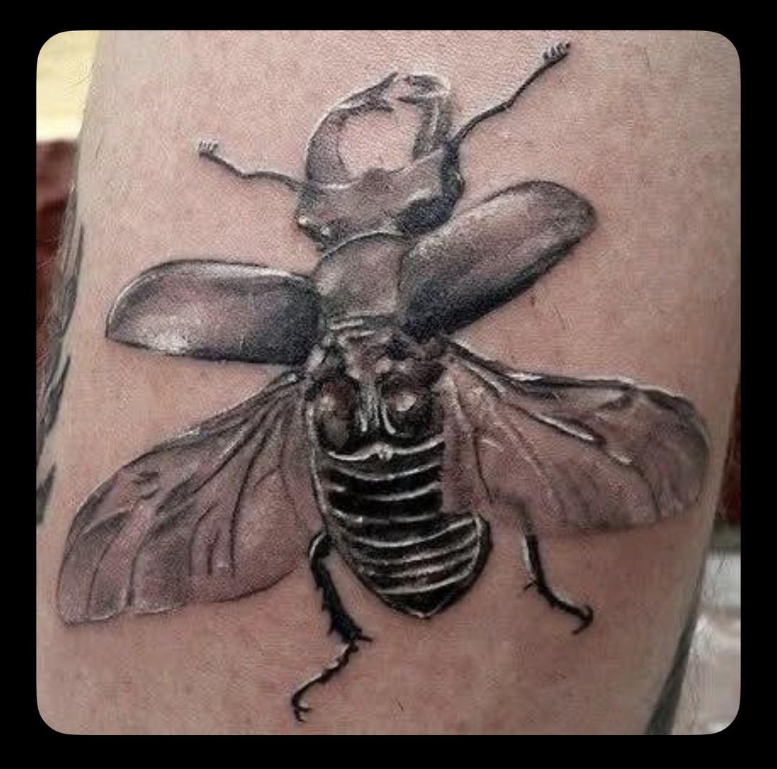 Tattoo: Black & grey realism — Stag beetle